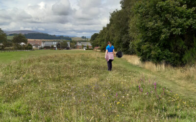 B-Lines Strathmore People & Pollinators