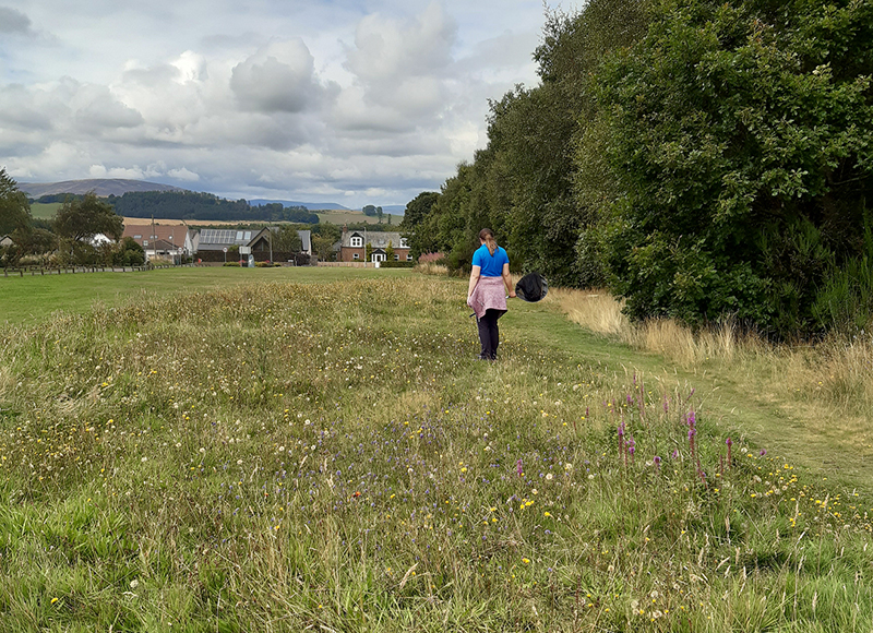 B-Lines Strathmore People & Pollinators 