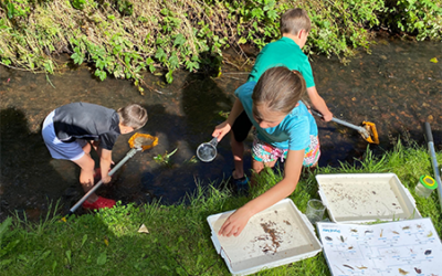 Sustainable Kirriemuir – The Kirriemuir BioBlitz 2022
