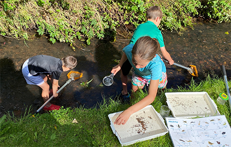 Sustainable Kirriemuir – The Kirriemuir BioBlitz 2022