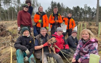 Dronley Community Woodland: building resilience from the ground up