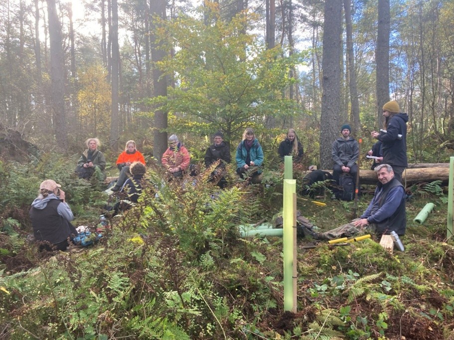 A group working together in a woodland.