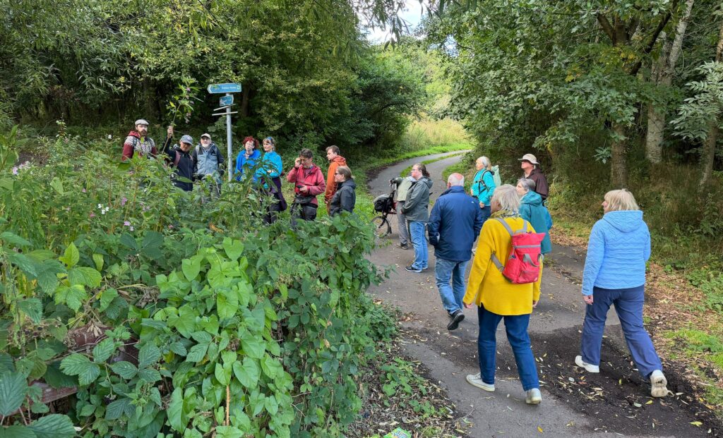 Dighty Burn Dundee walk with 17 people entering a woodland near the river on path