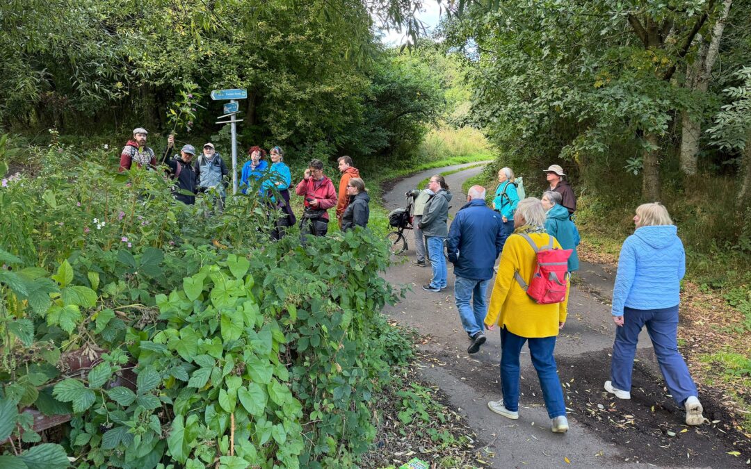 From local action to regional resilience: what we learned from Nature-Based Solutions Week 