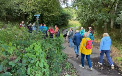 From local action to regional resilience: what we learned from Nature-Based Solutions Week 
